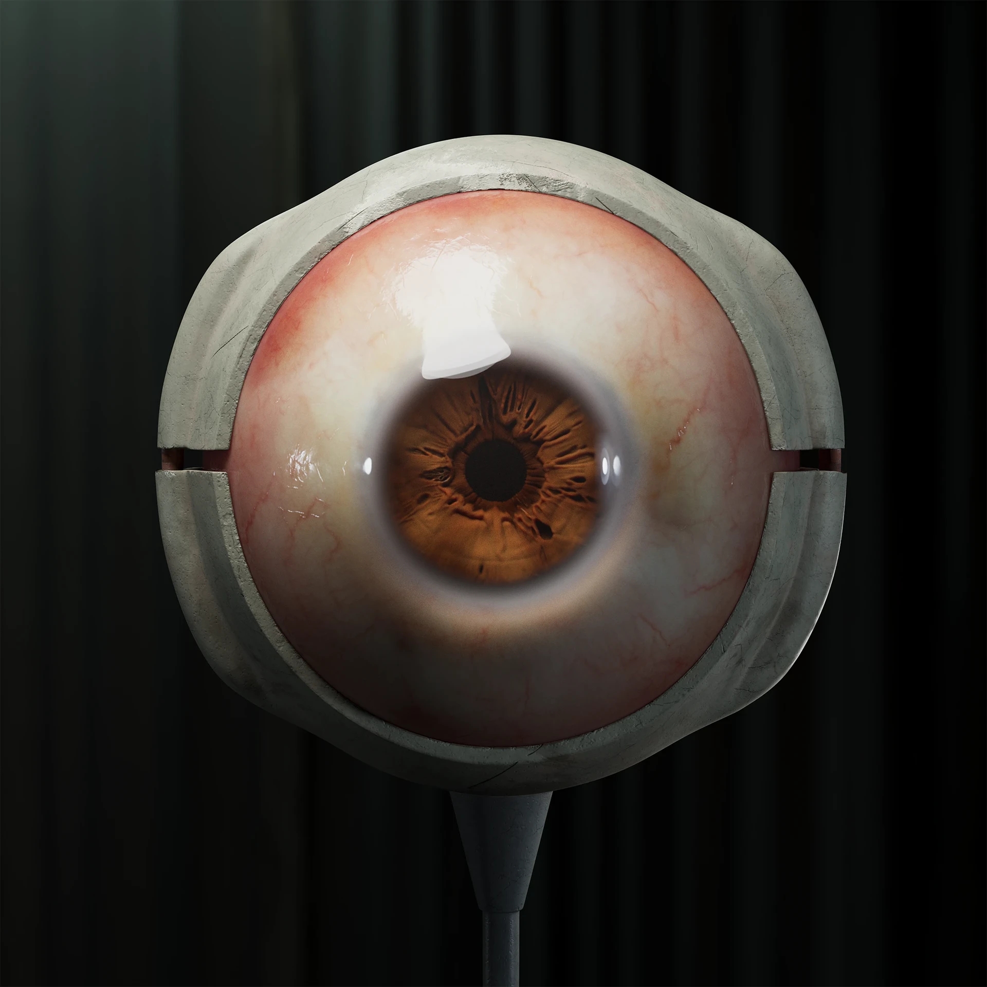 Eye Setup 